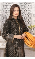 amna-sohail-viscose-broshia-banarsi-2020-12