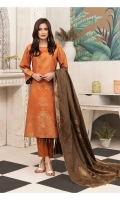 amna-sohail-viscose-broshia-banarsi-2020-5