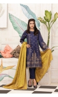 amna-sohail-viscose-broshia-banarsi-2020-9