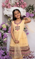 meyshal-girls-pret-wear-2024-44