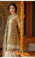 sanaya-dastangoi-festive-chiffon-2021-11